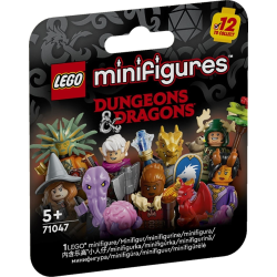 LEGO Dungeons & Dragons®