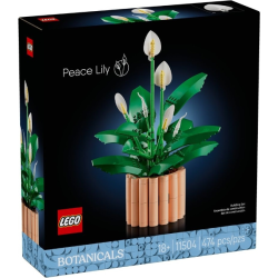 LEGO Botanicals Spatifillo