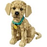 LEGO ICONS Cucciolo di Golden Retriever